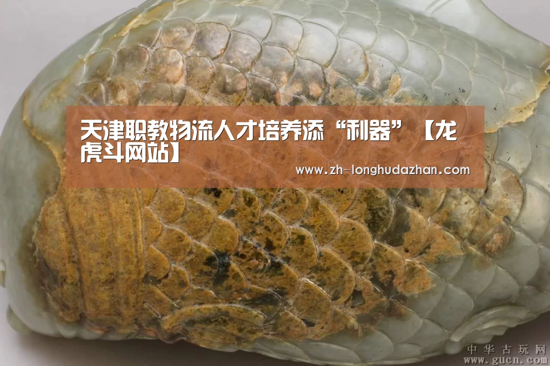 天津职教物流人才培养添“利器”【龙虎斗网站】