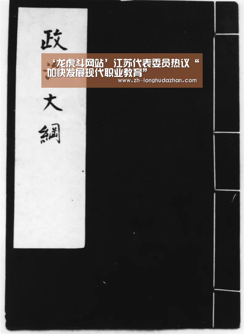 ‘龙虎斗网站’江苏代表委员热议“加快发展现代职业教育”(图3) 龙虎斗网站