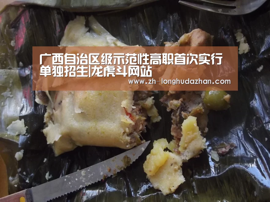 广西自治区级示范性高职首次实行单独招生|龙虎斗网站