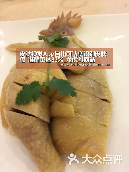 皮肤视觉App自拍可认痣识别皮肤癌 准确率达83%_龙虎斗网站(图2) 龙虎斗网站