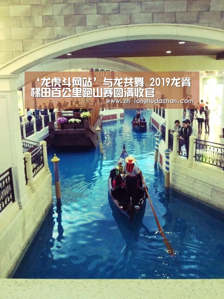 龙虎斗网站