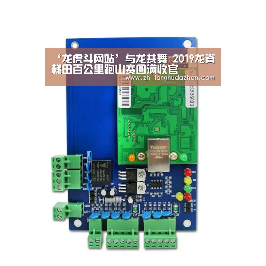 龙虎斗网站
