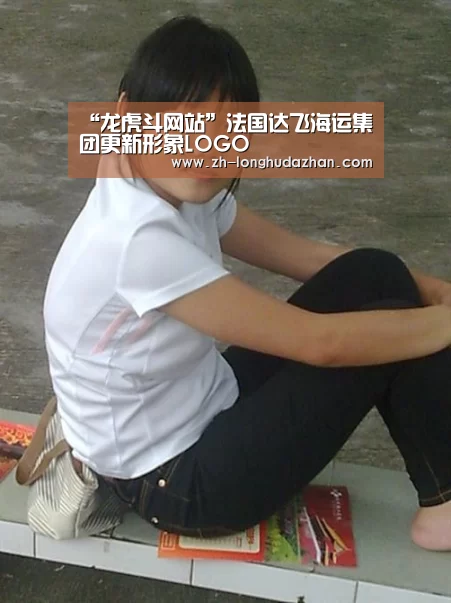 龙虎斗网站